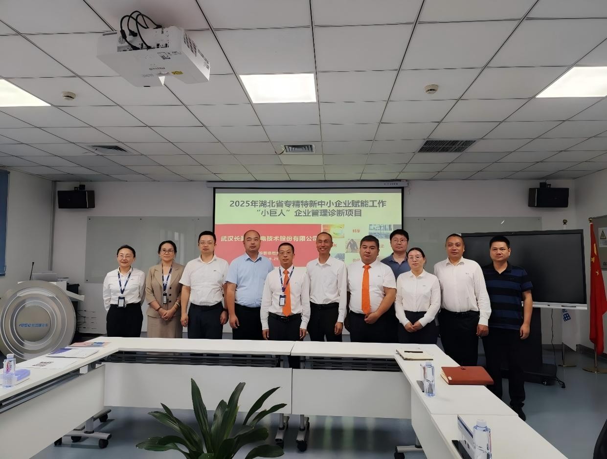 精准“把脉”促升级！湖北“小巨人”企业管理诊断项目赋能高质量发展